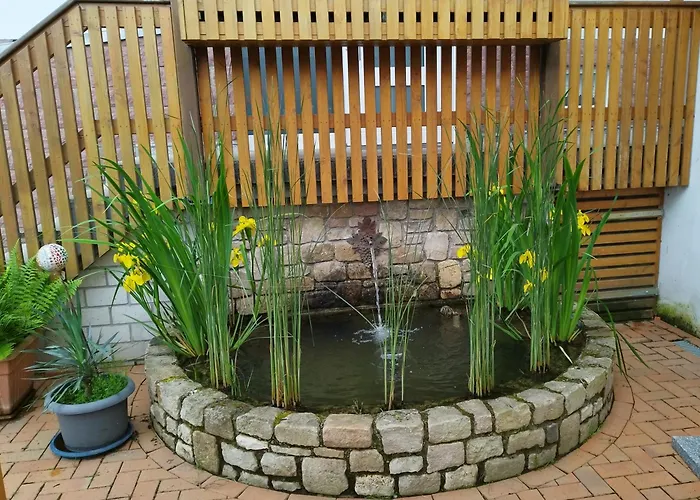 Schwalbennest * Patersberg